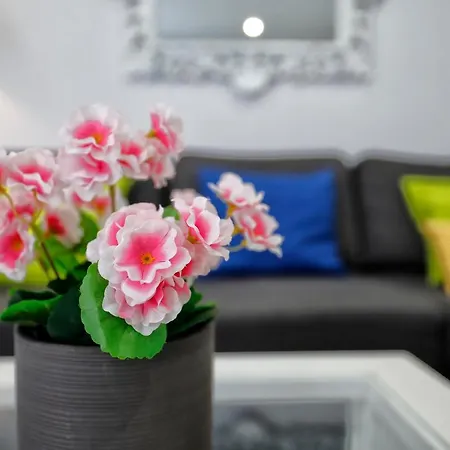 Apartamento Plaza La Paja *